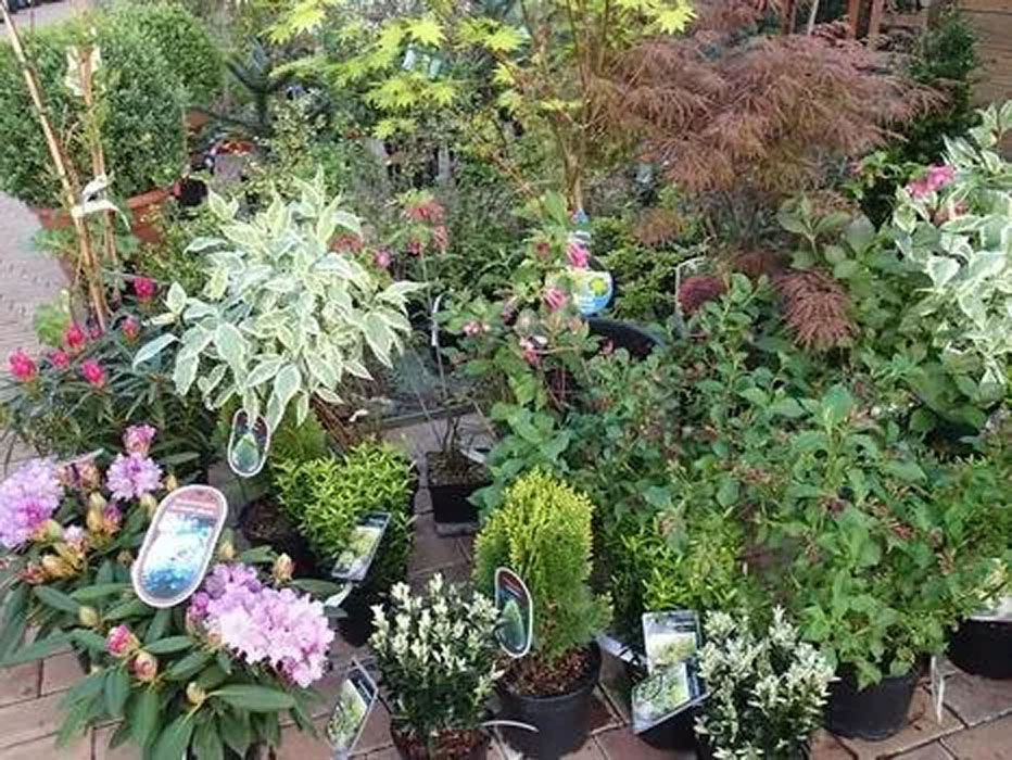 Jardipassion, Jardinerie indépendante à Jonchery, près de Chaumont